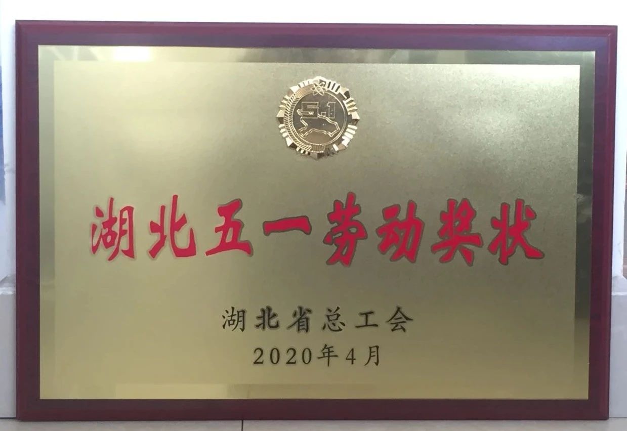 喜讯||半岛电竞(中国)半岛有限公司官网重工又获省级殊荣